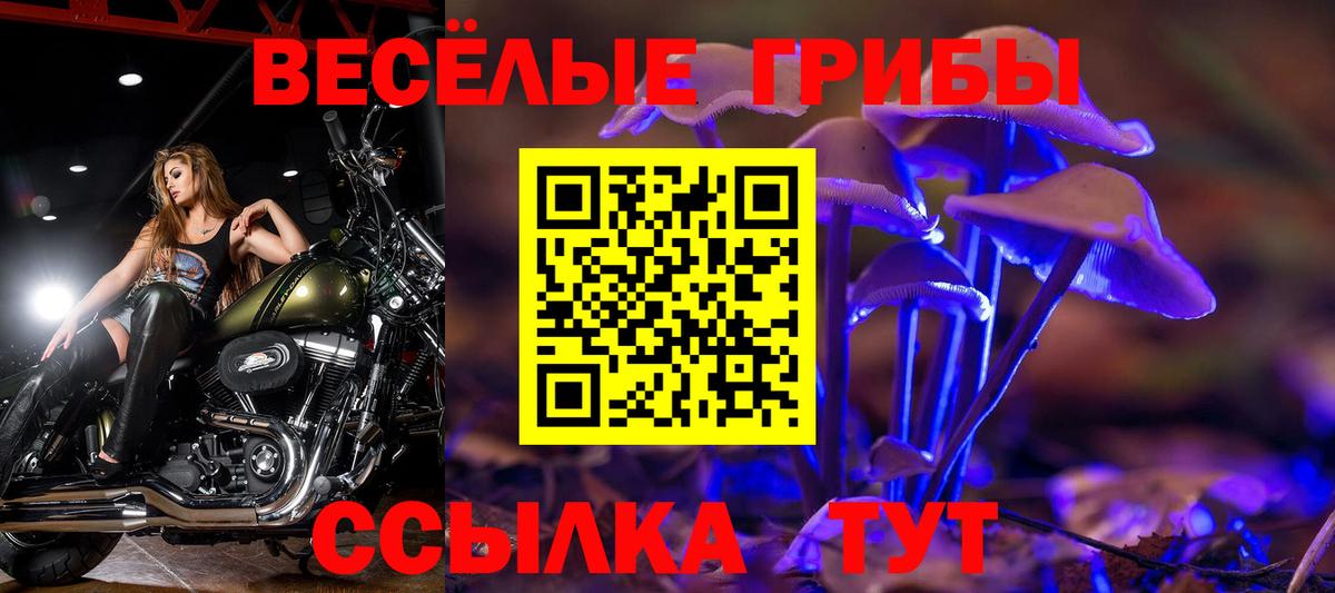 Галлюциногенные грибы мухоморы Славянск-на-Кубани