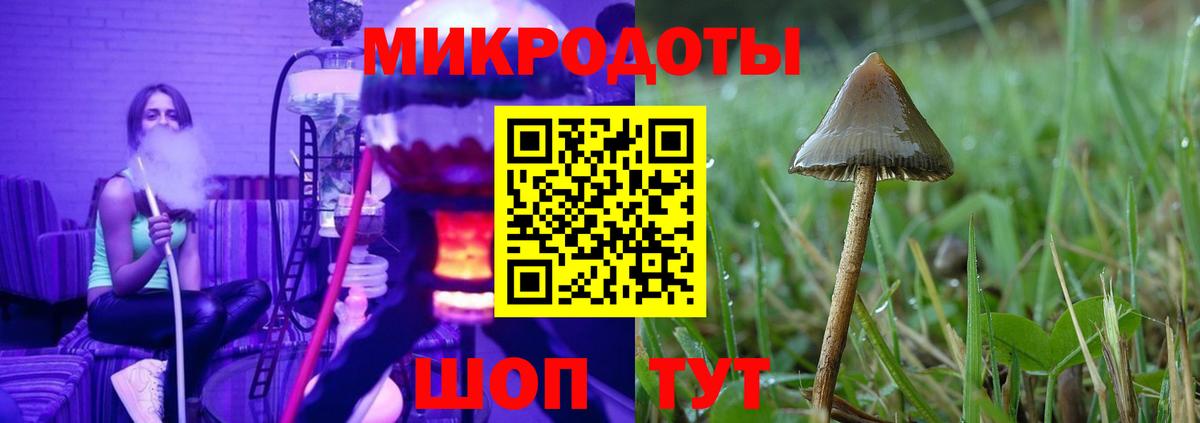 Псилоцибиновые грибы Psilocybine cubensis  Вход с VPN  Славянск-на-Кубани  Псилоцибиновые грибы мицелий 